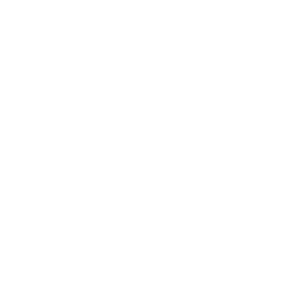 Loche India Logo